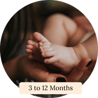 3 to 12 Months