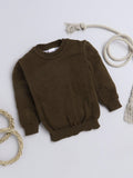 Little Angels Little Angels Baby Wool Round Neck Full Sleeves Striped Pullover Sweater for Baby Boys Pullover Pup-tastic Cozy Sweater