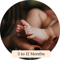 3 to 12 Months